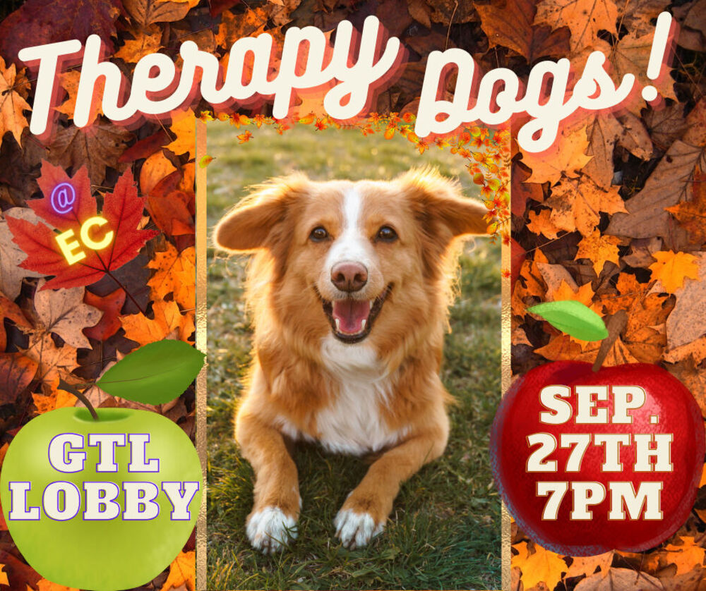 therapy-dogs-at-the-gannett-tripp-library