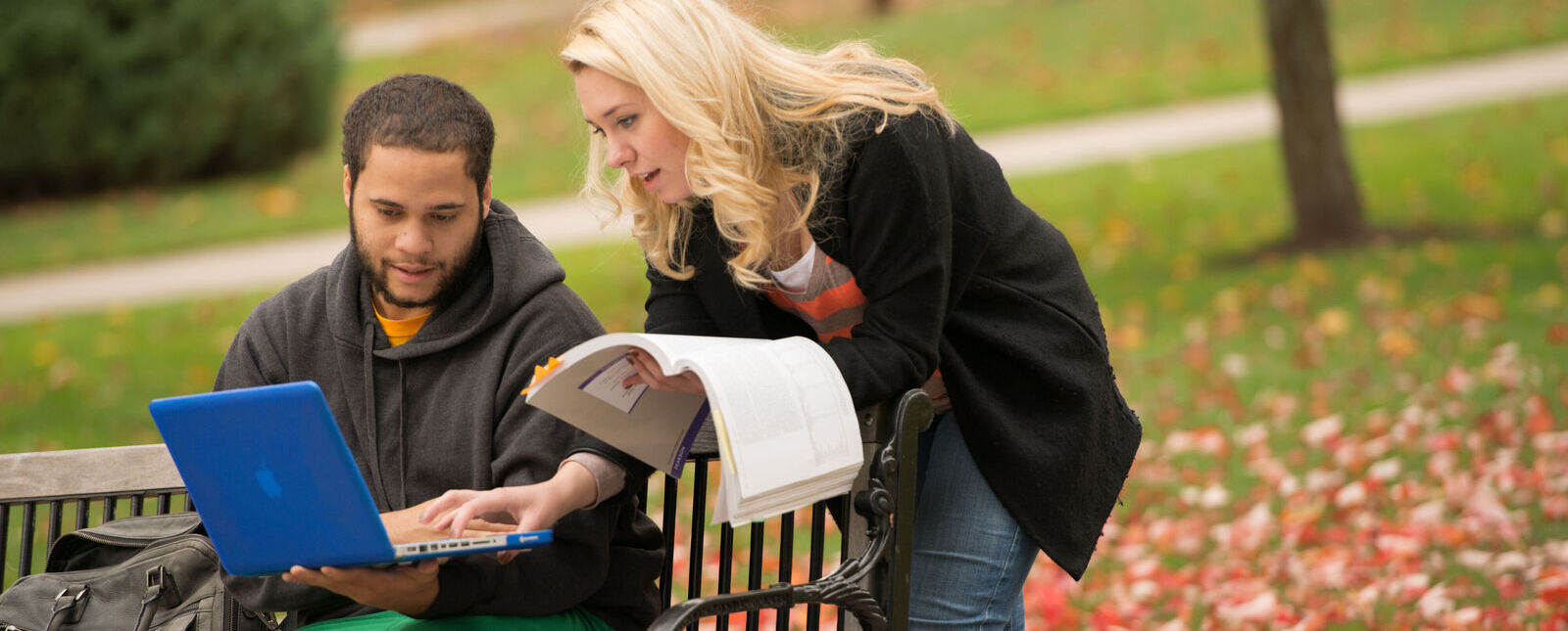 一名男学生和一名女学生一起坐在被秋叶包围的长凳上工作