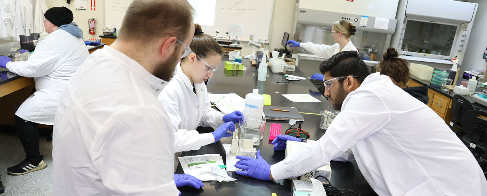 A group of students work in a laboratory