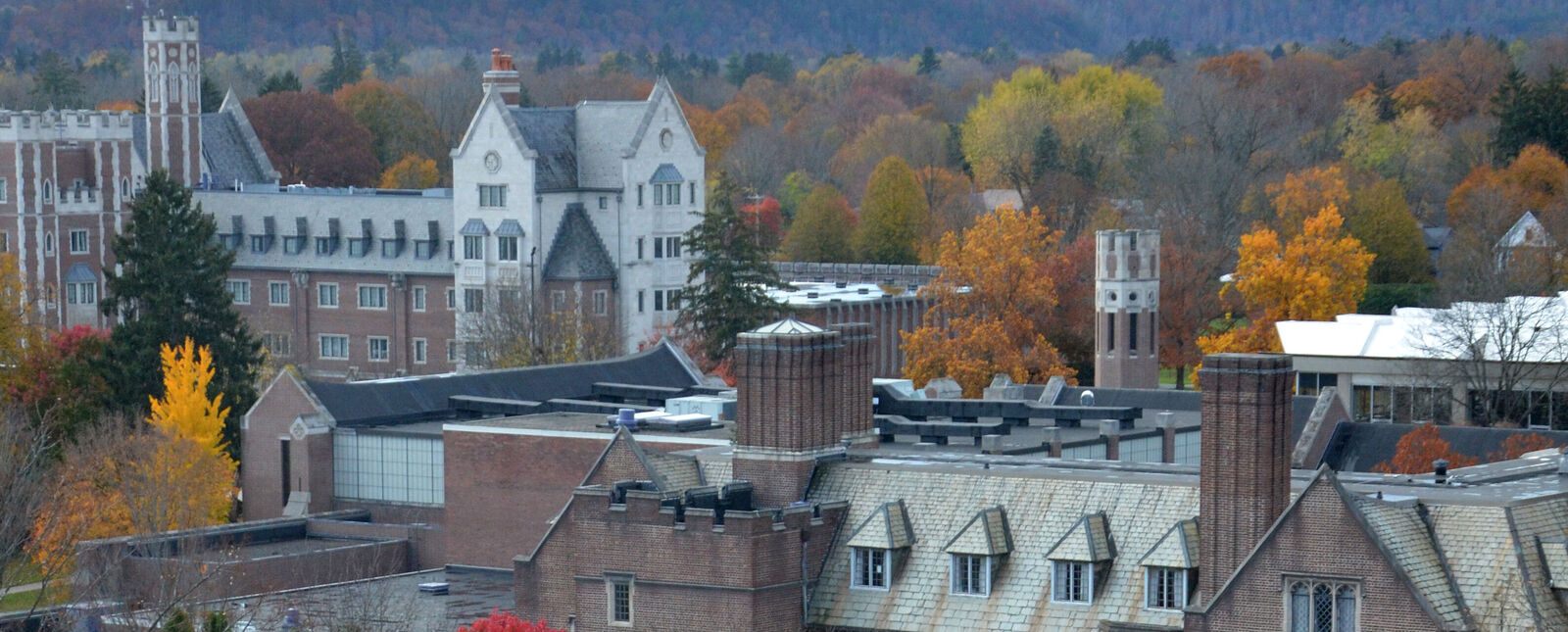 Elmira College's buildings are pictured from the top floor of Cowles Hall