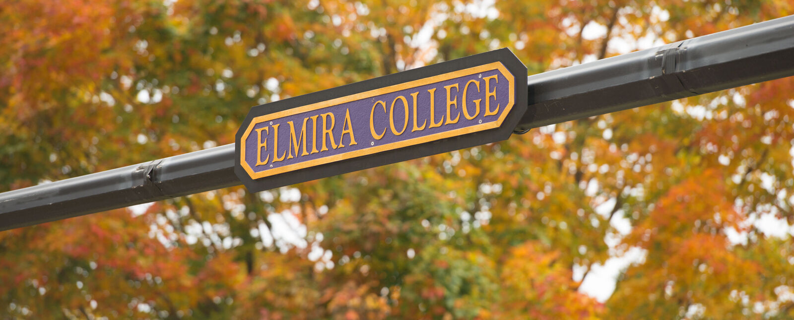 An Elmira College street sign