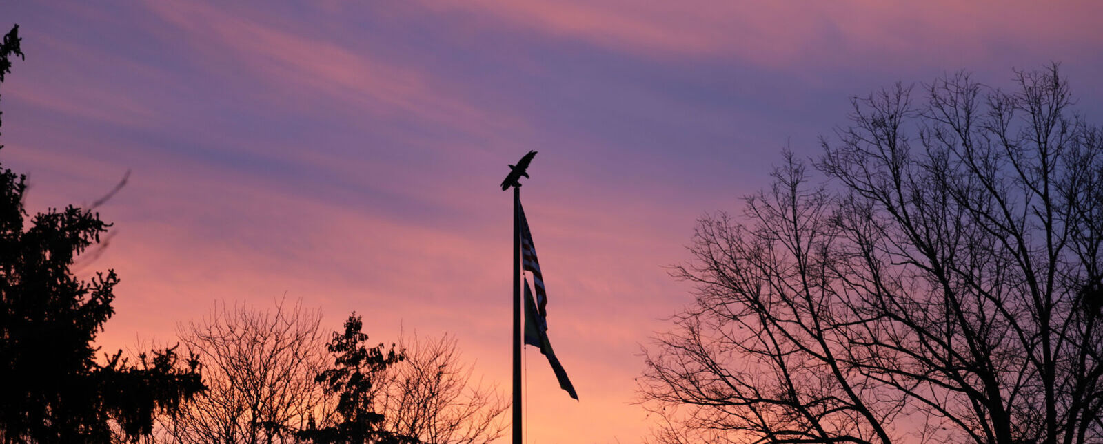 A pink and purple sunset is beyond the flagpole in the center of campus. The Soaring Eagle on top is silhouetted against the background. 