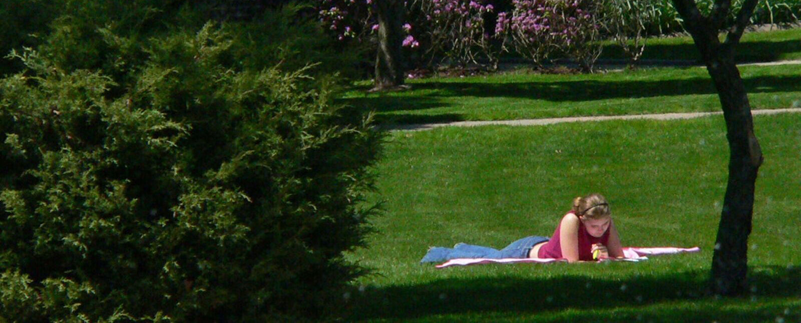 A female student studies while laying on the grass