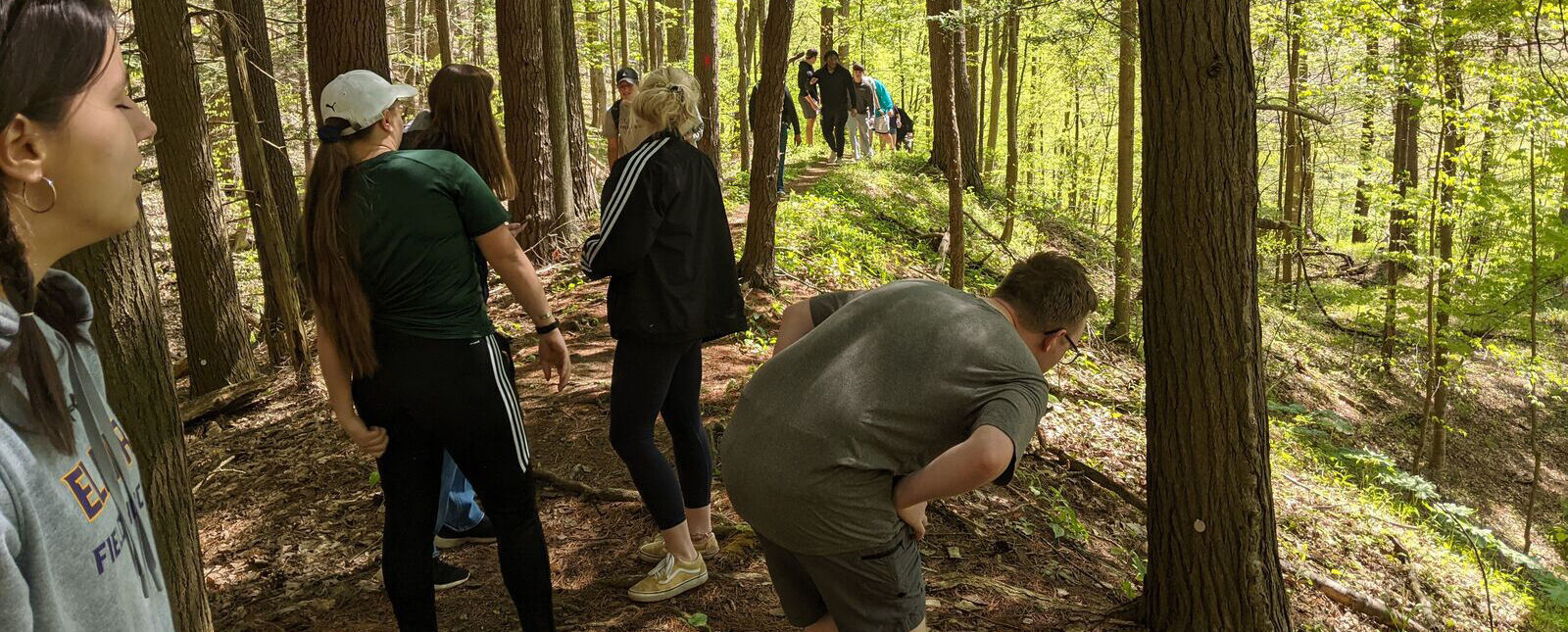 Students walk through a wooded area and examine some trees
