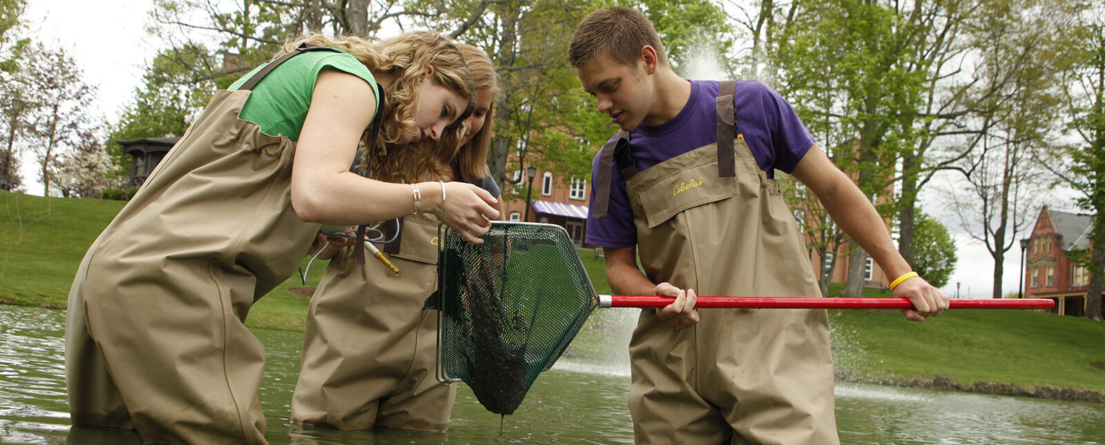 Students examine biology pulled from a small pond in a net