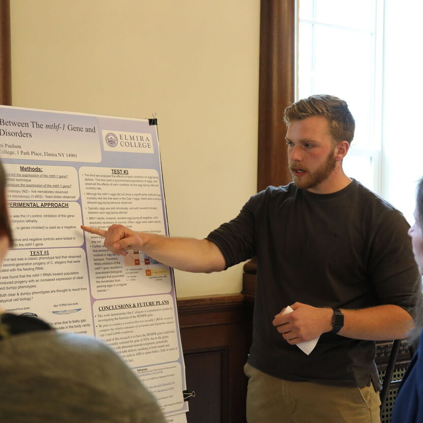 Student Discoveries Unveiled at 13th Annual Student Research Conference